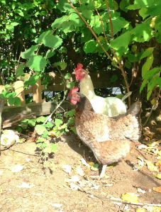 BeFunky_BeFunky_photo 1 (6).jpg