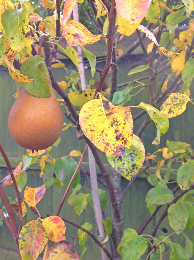 BeFunky_photo 4 (2).jpg