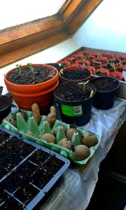 BeFunky_20150322_142546 (2).jpg