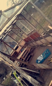 Snapchat-6242583150630883818