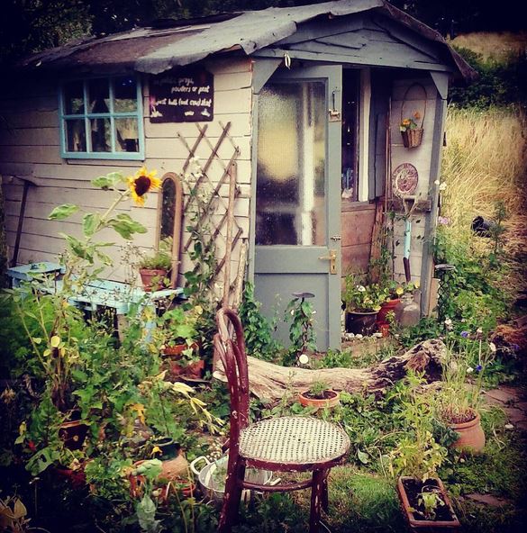 shed summer