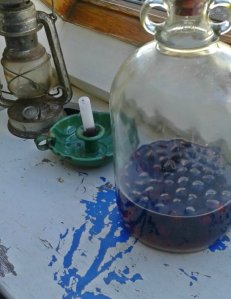 damson gin